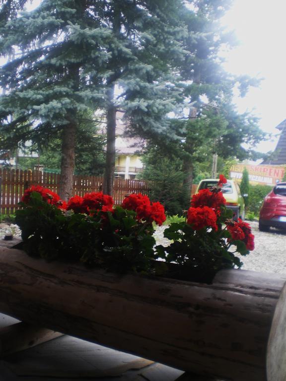 Pokoje Goscinne U Jaska Zab Exteriör bild